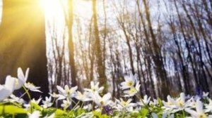 СП Добиваю недовязы 5/2026 Отчёт 12 с Мариной Стоговой