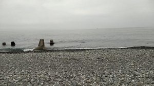 Сириус 20.03.2026. День весеннего равноденствия!