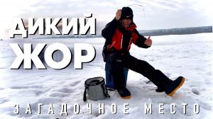 Думал так не бывает.Дикий ЖОР. Загадочной место.