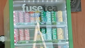 Влог из Боровое и Астаны (Казахстана)