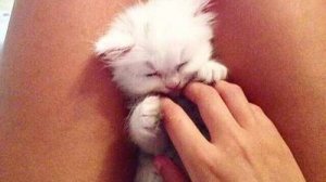 ЭТО БЕЗУМИЕ! Угарная подборка приколов НЕ ПЕЙТЕ ВОДУ ПЕРЕД ПРОСМОТРОМ!Ржака!Лол!Топ Смех Видео №1659