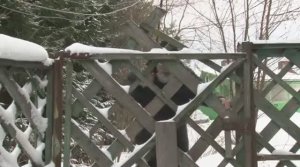 Священномученик Васи́лий Залесский, пресвитер 16.02.23