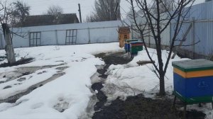 20.03.26. Возникла большая проблема на пасеке. Все нужно делать вовремя.