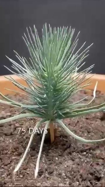 Посмотрите пока я жду коменты и подписки.