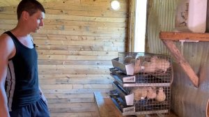 Превратили пруд в грязную лужу! Что делать?