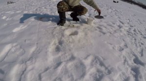 Рыбалка на Вятке , Алексей пригласил.