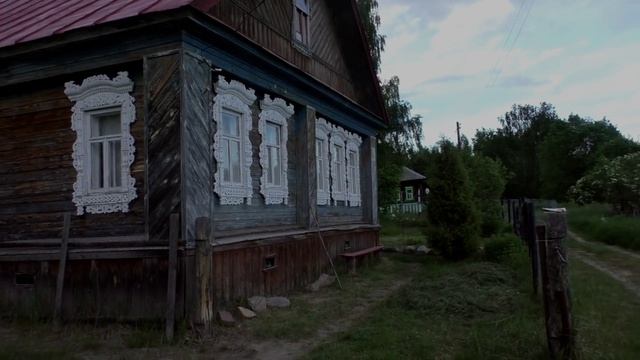 Звук природы. Птицы. Вьюрок поет в деревне