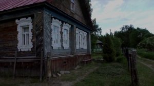 Звук природы. Птицы. Вьюрок поет в деревне