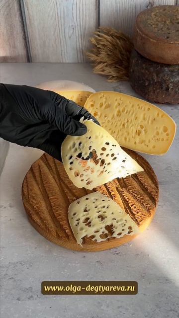 Курс сыроделия 