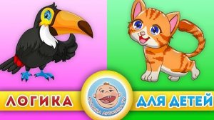 Животные: котята и Птицы, Логика для детей. Развивающие мультики