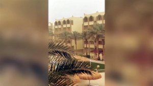 Российские туристы оказались в вынужденной изоляции из-за песчаной бури, накрывшей Египет.