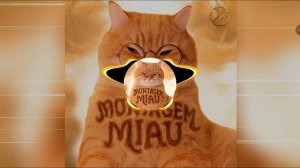 песня🤩😱🤬