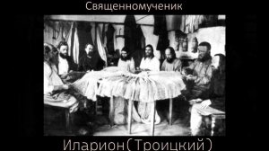 Сщмч. Иларион (Троицкий)