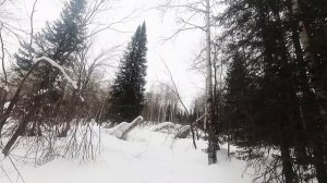 прогулка на снегоходах по лесу моими глазами под красивую музыку)
