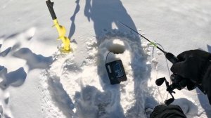 ЗАБУРИЛСЯ В БЕРЕГОВОЙ КОРЖНИК, А ТАМ СУДАКИ НАС ЖДАЛИ. Рыбалка на реке зимой в 2026