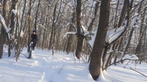 похищенный для леса ЧАСТЬ 38