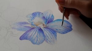 Мощная техника акварели (большинство уроков ее игнорируют) 💙 Голубые орхидеи