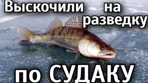 Выскочели на разведку по судаку в глухозимье.
