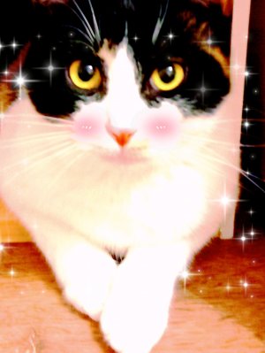 иллюзия на всех людей чтобы успокоиться