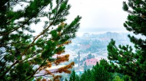 Капризная весна плохо сказывается на здоровье югорчан