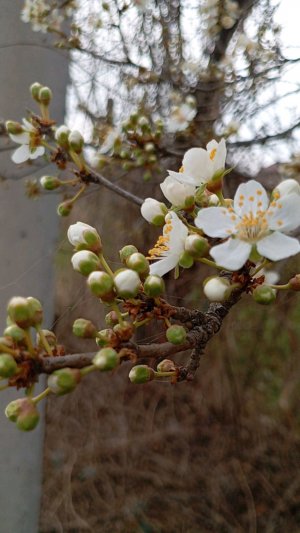 интервью № 7