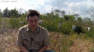 Манассия и Валтасар