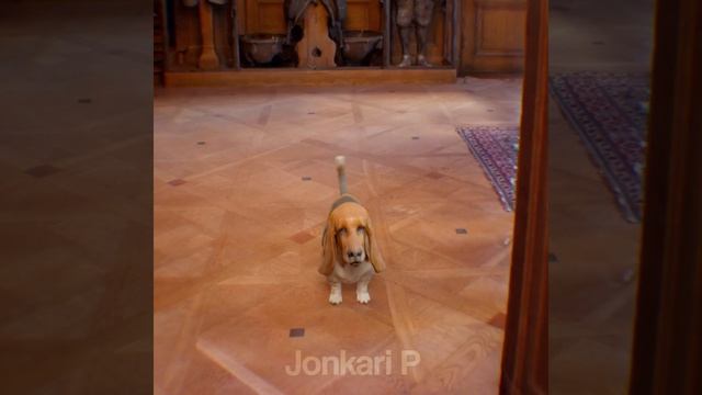 Кто у нас тут хороший мальчик?