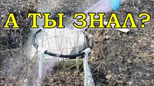 Важно! СМОРОДИНА проснулась, первые действия🔥🔥🔥