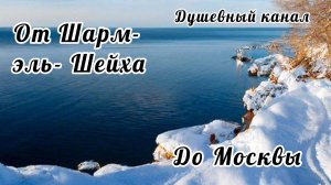 ОТ ШАРМ- ЭЛЬ- ШЕЙХА ДО МОСКВЫ. СЕРЕДИНА МАРТА