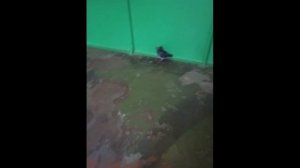 Что ты тут делаешь ? What are you doing here?