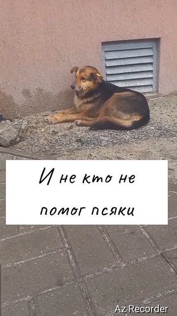 #дальнобой#фургон#помойка