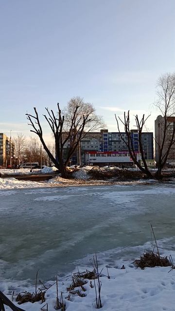 Теперь можно гулять безопасно 😊👍
