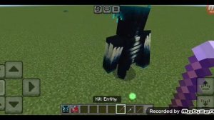 Супер Моб VS Варден