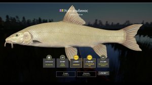 СУПЕР ФАРМ НАМ МЕДНОМ ПРОДОЛЖАЕТСЯ? И ДРУГИЕ ВОДОЕМЫ В РУССКОЙ РЫБАЛКЕ 4 СТРИМ