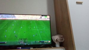 играю в фифу