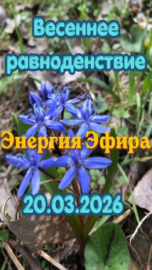 Весеннее равноденствие. Энергия Эфира 20.03.2026. #вселеннаяя #творец #весеннееравноденствие #эфир