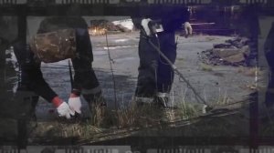 ТЛФ терроризм.