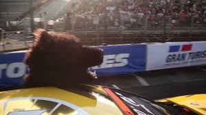 История гоночной команды Форвард Авто