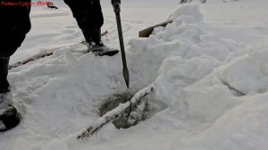 Жерлицы проверка. 32 день.