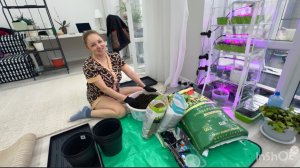 Чем я занимаюсь? Высадила ОГУРЧИКИ в горшки !