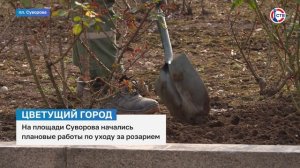 На площади Суворова начались плановые работы по уходу за розарием