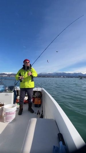 Ловлю наживку