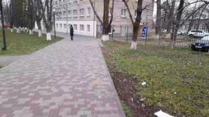 Всё смешалось в голове: банки, кошки, птицы. Зато пятница! Креатив!  20.03.2026