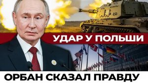 НАТО молчит, Эстония рвётся в бой: как война с Ираном разорвала Атлантический альянс изнутри