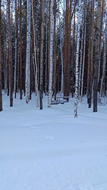 19 февраль.mp4