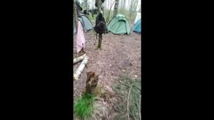 Затерянные судьбы. Трейлер