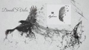 NЮ - Вороны (DimakSVideo)