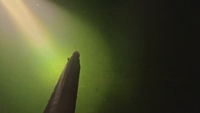 Ночная подводная охота на реке Ангара