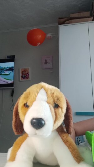 хз что писать