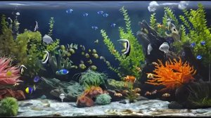 Рыбки Тихие сны расслабляющая музыка для детей